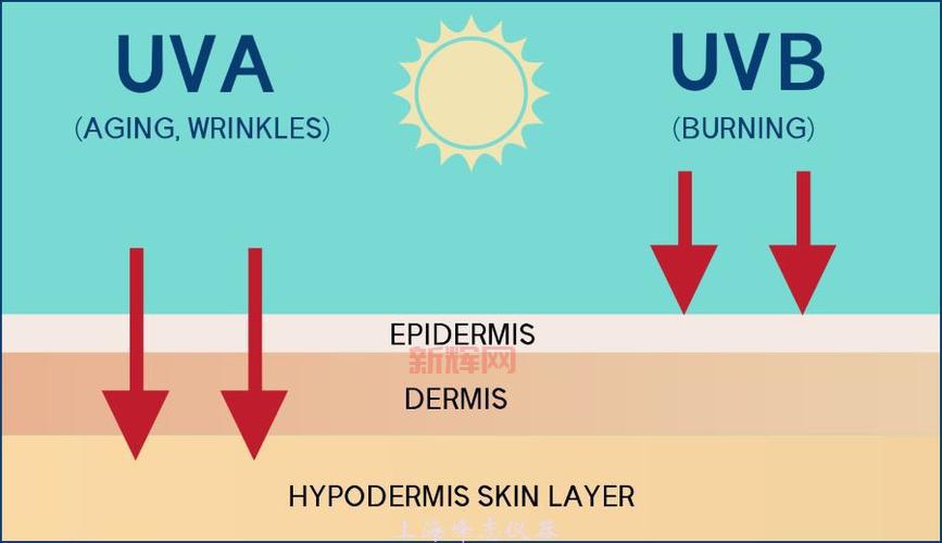 UVA与UVB的区别：为什么UVA防护更重要？