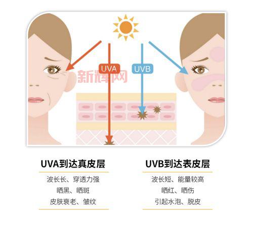 UVA与UVB的区别：为什么UVA防护更重要？