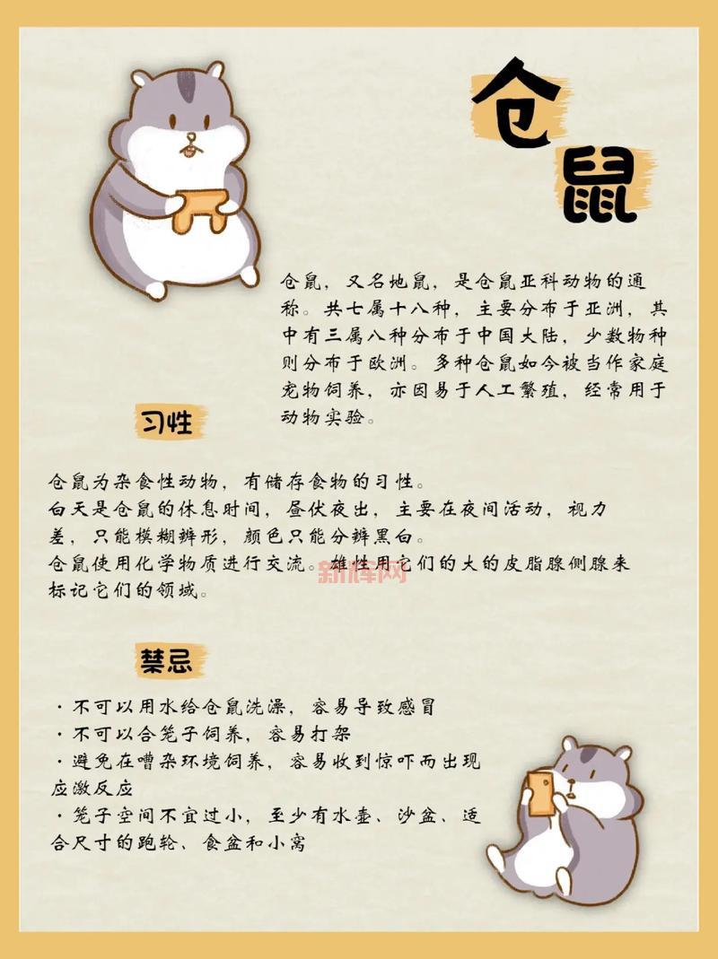秘密传说之书攻略：新手入门少走弯路快速通关技巧
