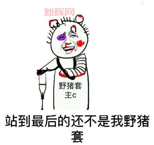 假猪套什么意思？这篇文章一次给你讲清楚！