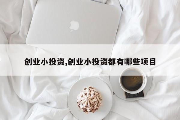 创业小投资,创业小投资都有哪些项目