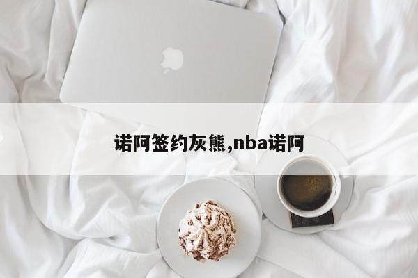 诺阿签约灰熊,nba诺阿