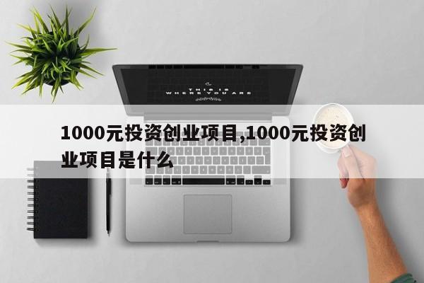 1000元投资创业项目,1000元投资创业项目是什么