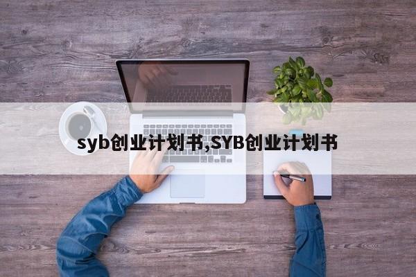 syb创业计划书,SYB创业计划书