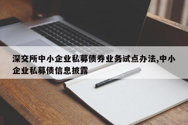 深交所中小企业私募债券业务试点办法,中小企业私募债信息披露