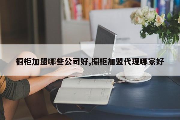 橱柜加盟哪些公司好,橱柜加盟代理哪家好