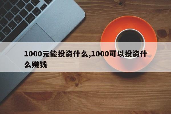 1000元能投资什么,1000可以投资什么赚钱