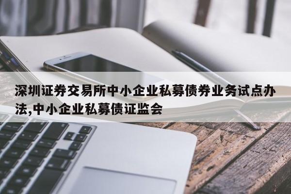 深圳证券交易所中小企业私募债券业务试点办法,中小企业私募债证监会