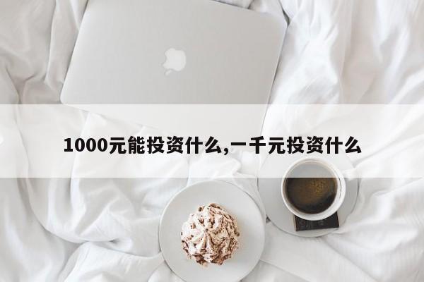 1000元能投资什么,一千元投资什么