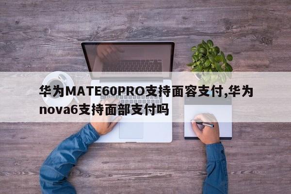 华为MATE60PRO支持面容支付,华为nova6支持面部支付吗