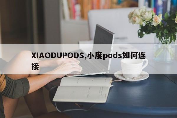 XIAODUPODS,小度pods如何连接