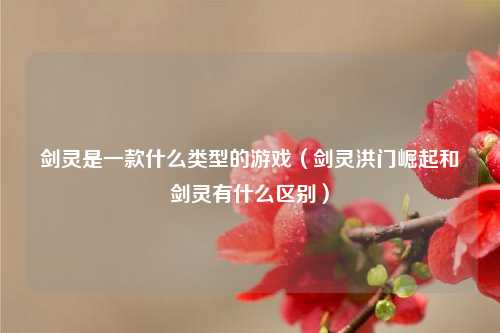剑灵是一款什么类型的游戏（剑灵洪门崛起和剑灵有什么区别）