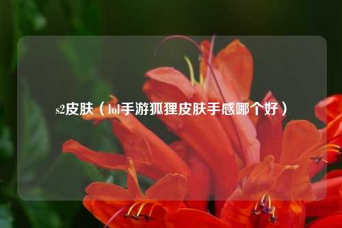 s2皮肤（lol手游狐狸皮肤手感哪个好）