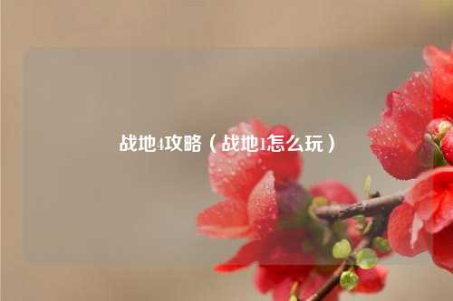 战地4攻略（战地1怎么玩）
