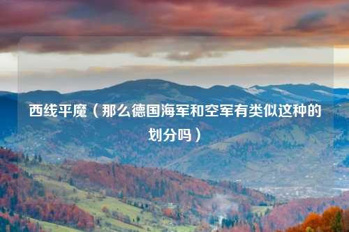 西线平魔（那么德国海军和空军有类似这种的划分吗）