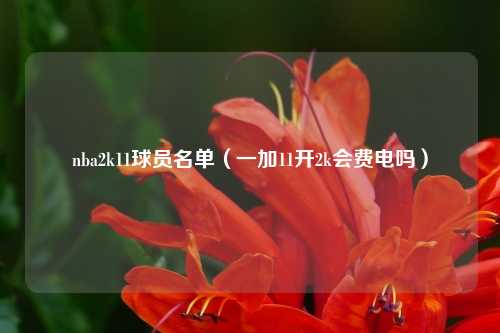 nba2k11球员名单（一加11开2k会费电吗）