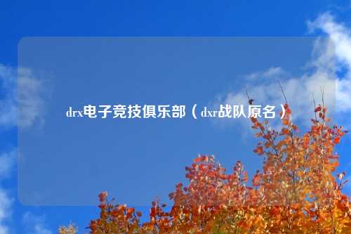 drx电子竞技俱乐部（dxr战队原名）