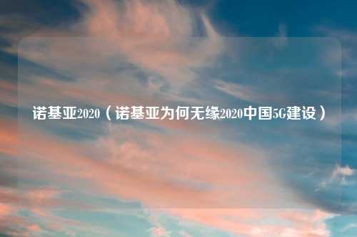 诺基亚2020（诺基亚为何无缘2020中国5G建设）