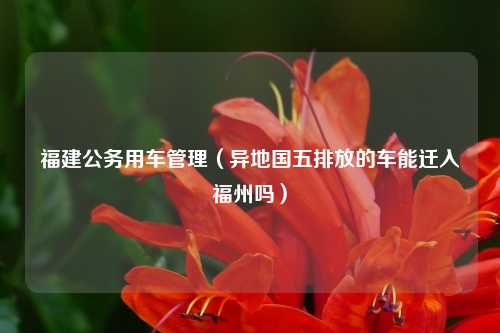 福建公务用车管理（异地国五排放的车能迁入福州吗）