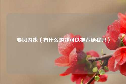 暴风游戏（有什么游戏可以推荐给我吗）