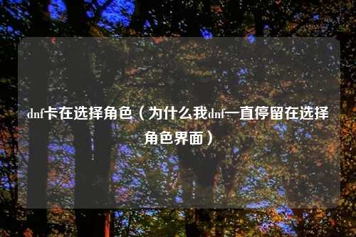 dnf卡在选择角色（为什么我dnf一直停留在选择角色界面）