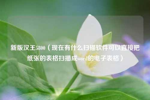 新版汉王5800（现在有什么扫描软件可以直接把纸张的表格扫描成word的电子表格）