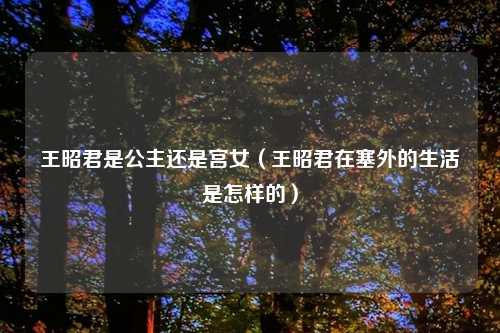 王昭君是公主还是宫女（王昭君在塞外的生活是怎样的）