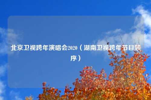 北京卫视跨年演唱会2020（湖南卫视跨年节目顺序）
