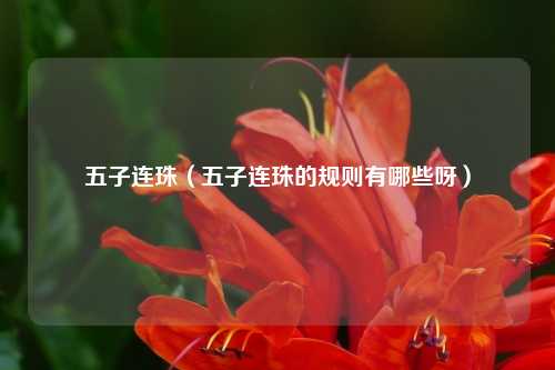 五子连珠（五子连珠的规则有哪些呀）