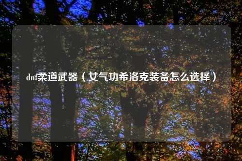 dnf柔道武器（女气功希洛克装备怎么选择）