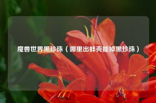 魔兽世界黑珍珠（哪里出蚌壳能掉黑珍珠）