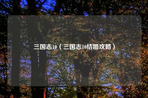 三国志10（三国志10结婚攻略）