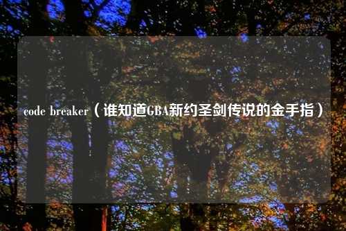 code breaker（谁知道GBA新约圣剑传说的金手指）