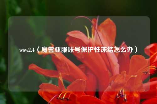 wow2.4（魔兽亚服账号保护性冻结怎么办）