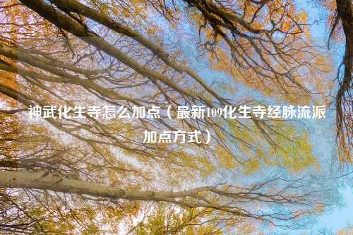 神武化生寺怎么加点（最新109化生寺经脉流派加点方式）