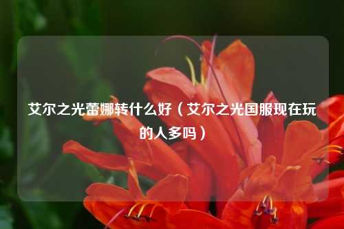 艾尔之光蕾娜转什么好（艾尔之光国服现在玩的人多吗）