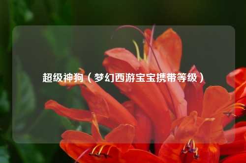 超级神狗（梦幻西游宝宝携带等级）