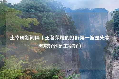 主宰刷新间隔（王者荣耀的打野第一波是先拿黑龙好还是主宰好）