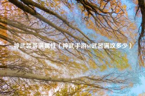 神武装备满属性（神武手游60武器满攻多少）
