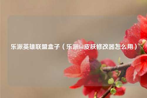 乐派英雄联盟盒子（乐派lol皮肤修改器怎么用）