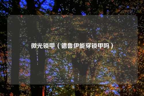 微光锁甲（德鲁伊能穿锁甲吗）
