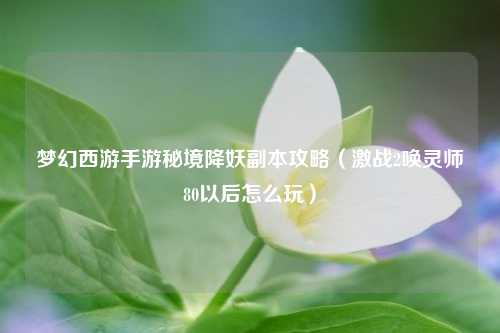 梦幻西游手游秘境降妖副本攻略（激战2唤灵师80以后怎么玩）