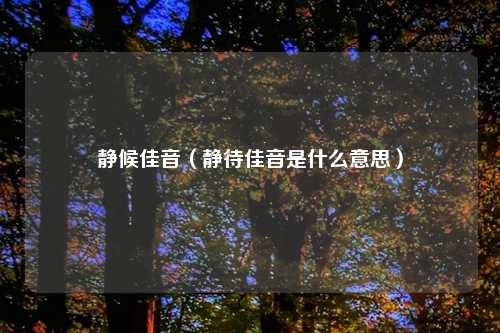 静候佳音（静待佳音是什么意思）