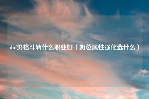 dnf男格斗转什么职业好（奶爸属性强化选什么）