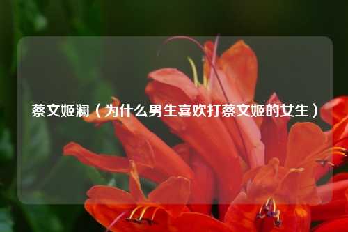 蔡文姬澜（为什么男生喜欢打蔡文姬的女生）