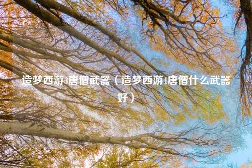 造梦西游3唐僧武器（造梦西游4唐僧什么武器好）