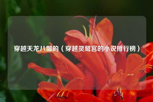 穿越天龙八部的（穿越灵鹫宫的小说排行榜）