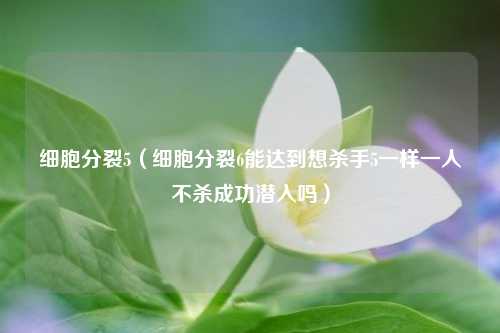细胞分裂5（细胞分裂6能达到想杀手5一样一人不杀成功潜入吗）