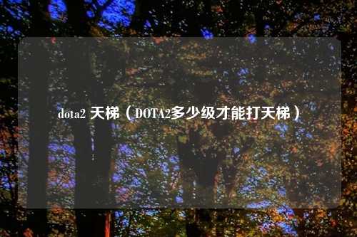 dota2 天梯（DOTA2多少级才能打天梯）