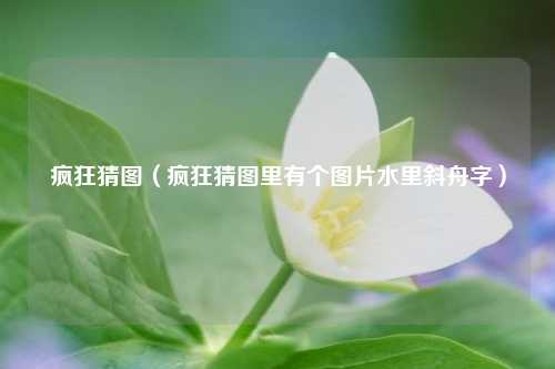 疯狂猜图（疯狂猜图里有个图片水里斜舟字）